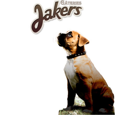 Jakers