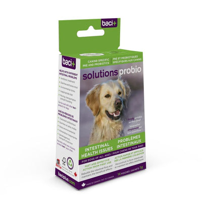Baci+ Solutions Probio pour chiens - pré et probiotiques pour problèmes intestinaux 14g