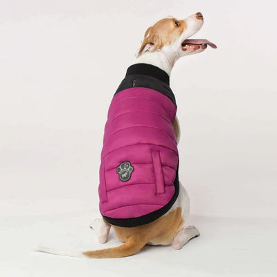 Manteau Canada Pooch Brave the Elements Rose - taille 16
