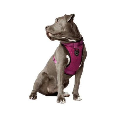 CANADA POOCH Everything harnais rose Large